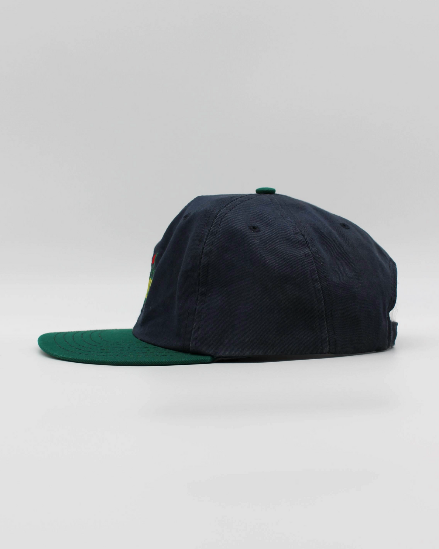 90s Masters Two Tone Cap by American Needle